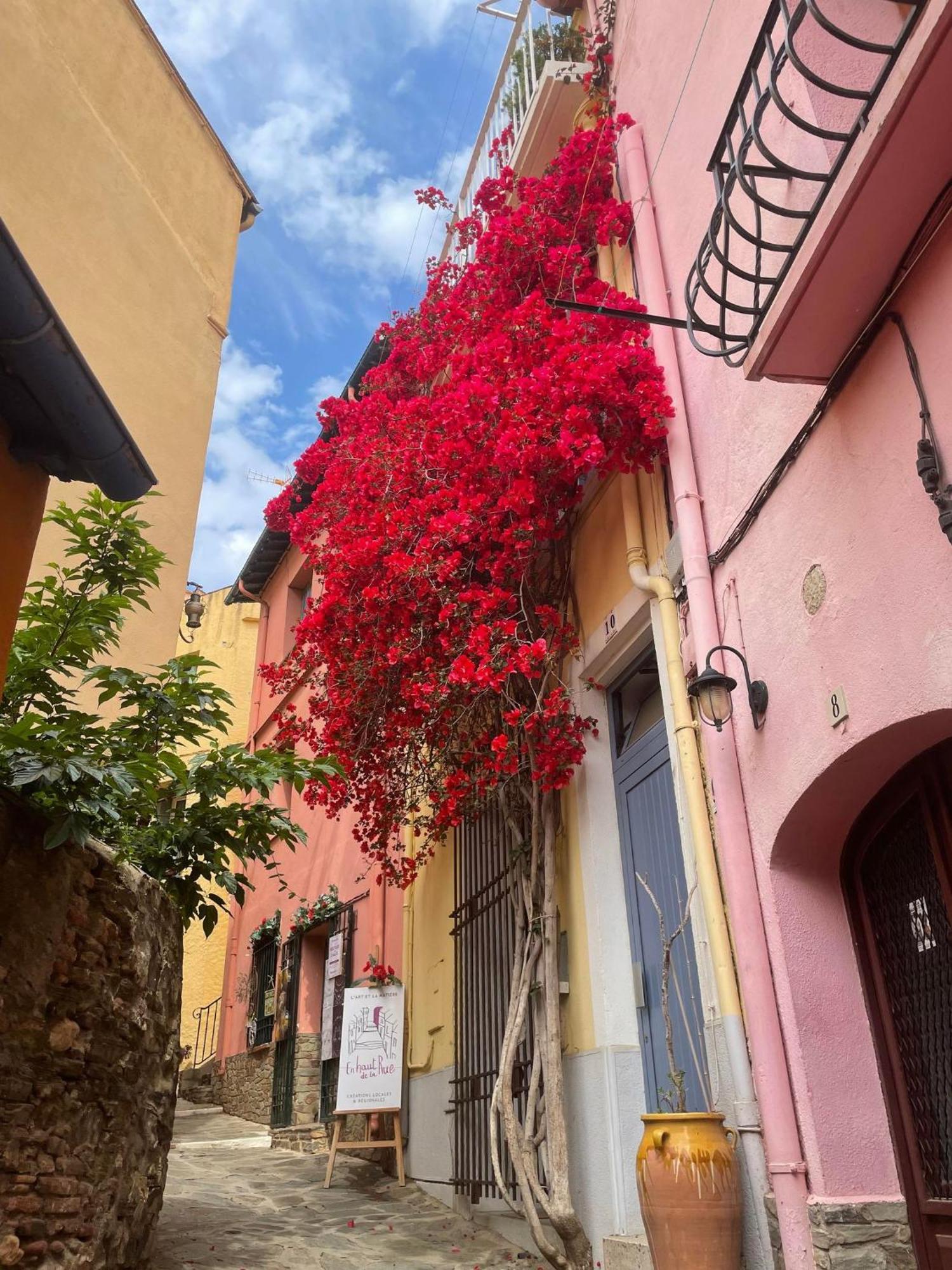 6Sol16 Appartement Duplex Proche Mer Collioure Exterior foto